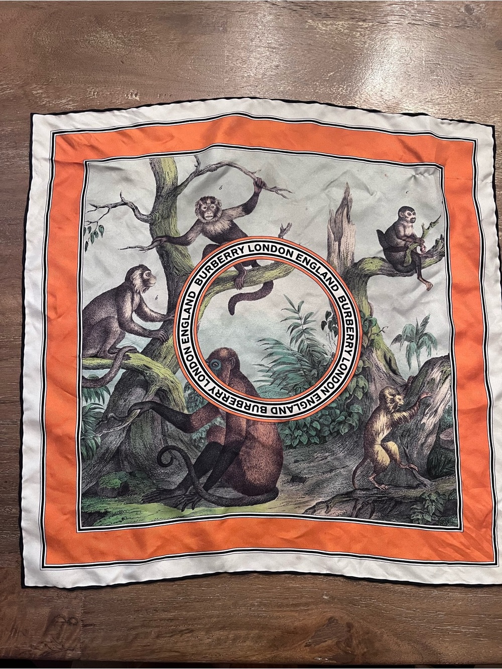 Burberry Monkey scarf